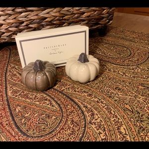 DESIGNER PUMPKIN SALT AND PEPPER SHAKERS FOR POTTERY BARN